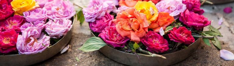 77570_header5-e1538997694797