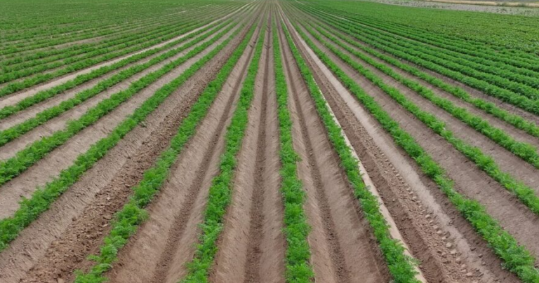 Schermafbeelding-2025-03-25-104913-2