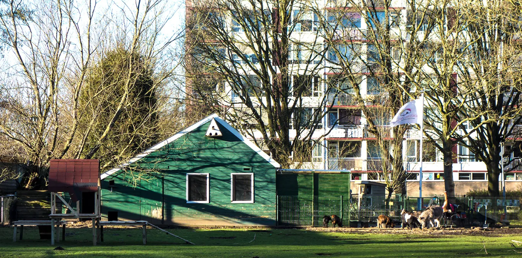 Kinderboerderij De Lariks