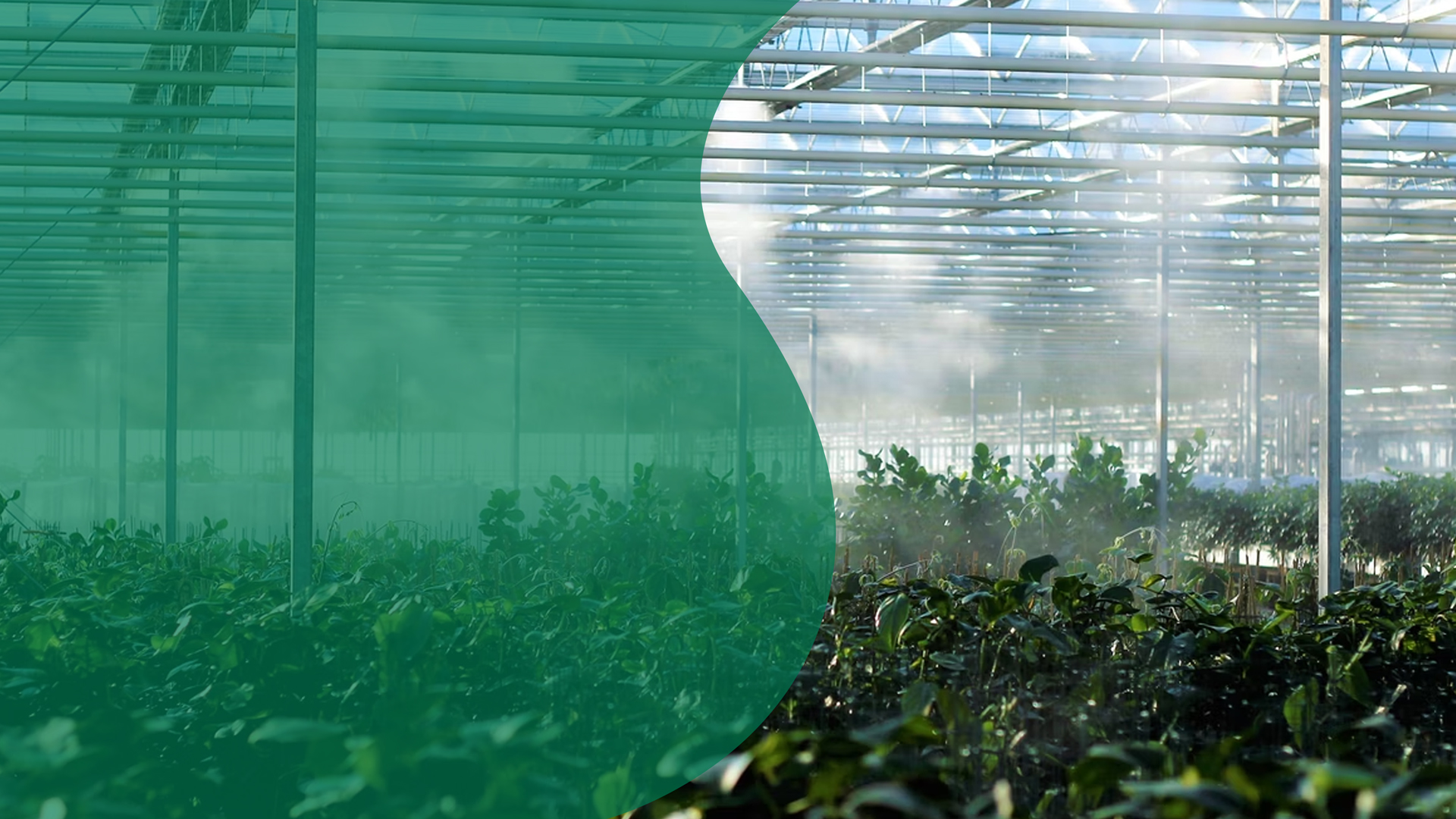 GroWplant Vastgoed